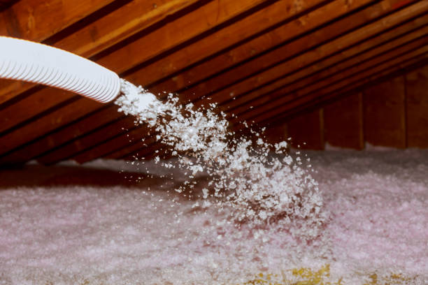 Best Insulation Maintenance and Repair in Plymouth, IN